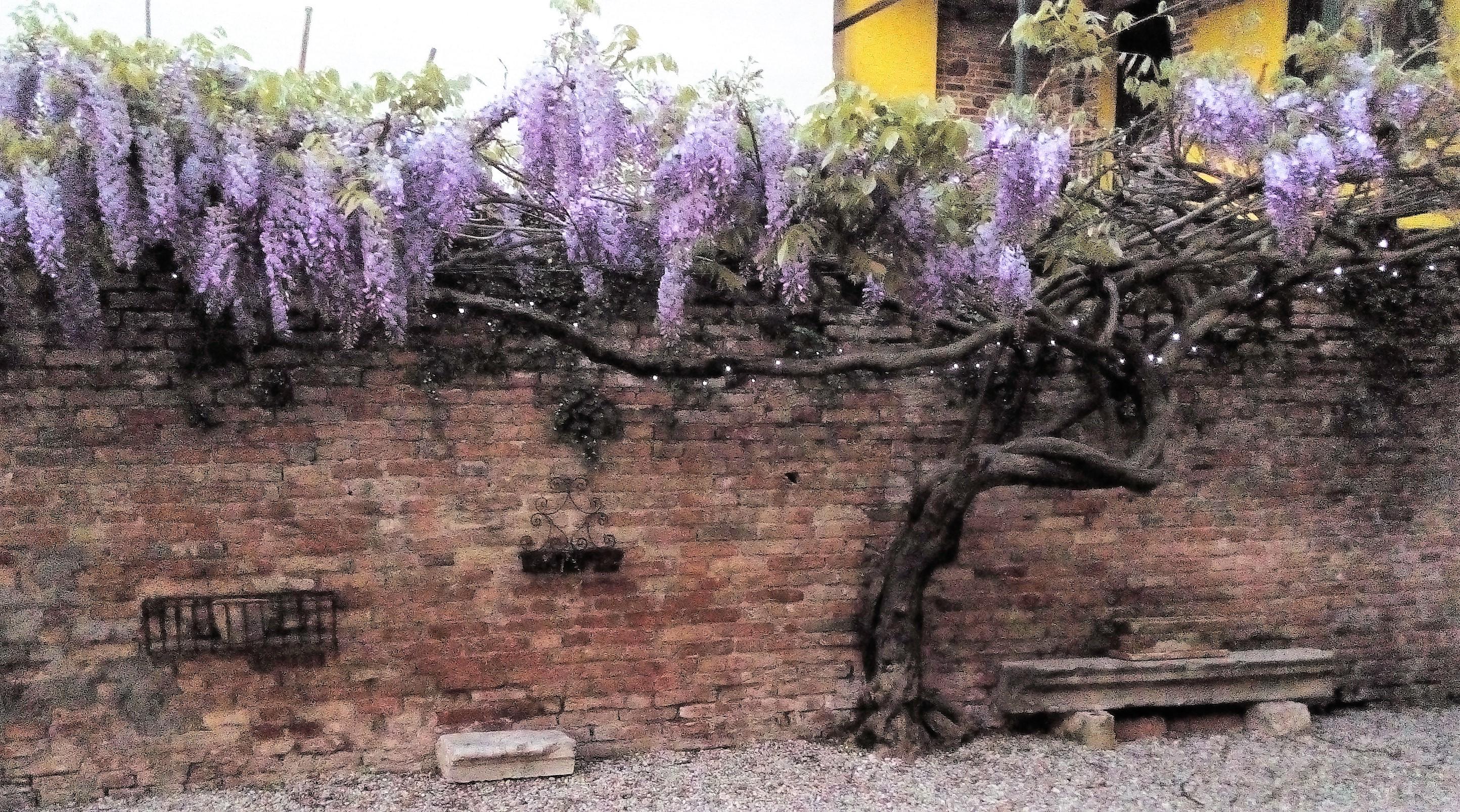 فندق Relais Alcova Del Doge ميرا المظهر الخارجي الصورة
