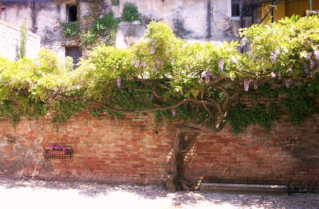 فندق Relais Alcova Del Doge ميرا المظهر الخارجي الصورة