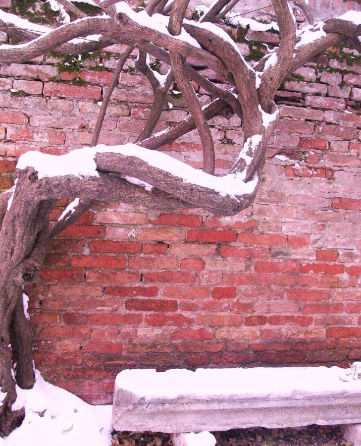 فندق Relais Alcova Del Doge ميرا المظهر الخارجي الصورة